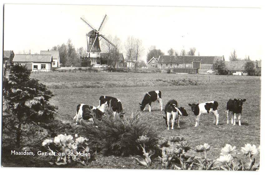 kaart