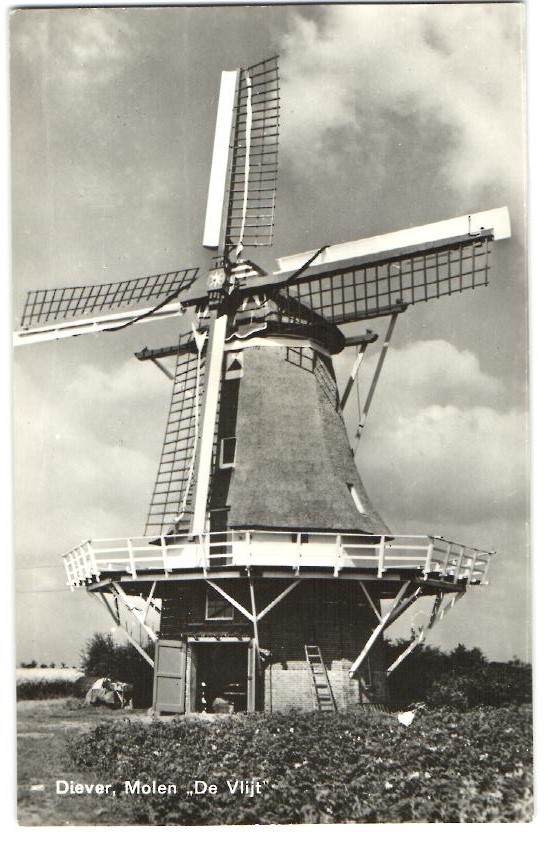 kaart