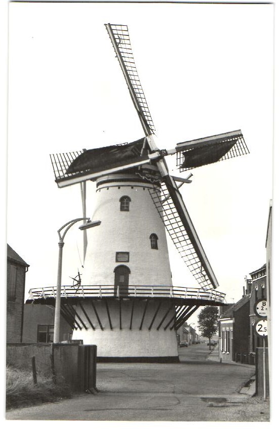 kaart