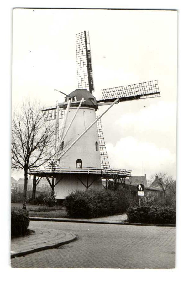 kaart