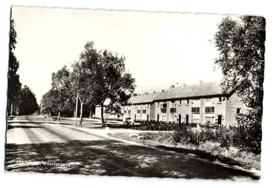 kaart