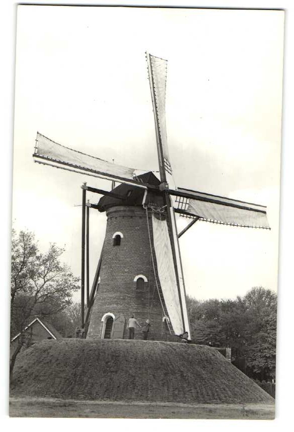 kaart