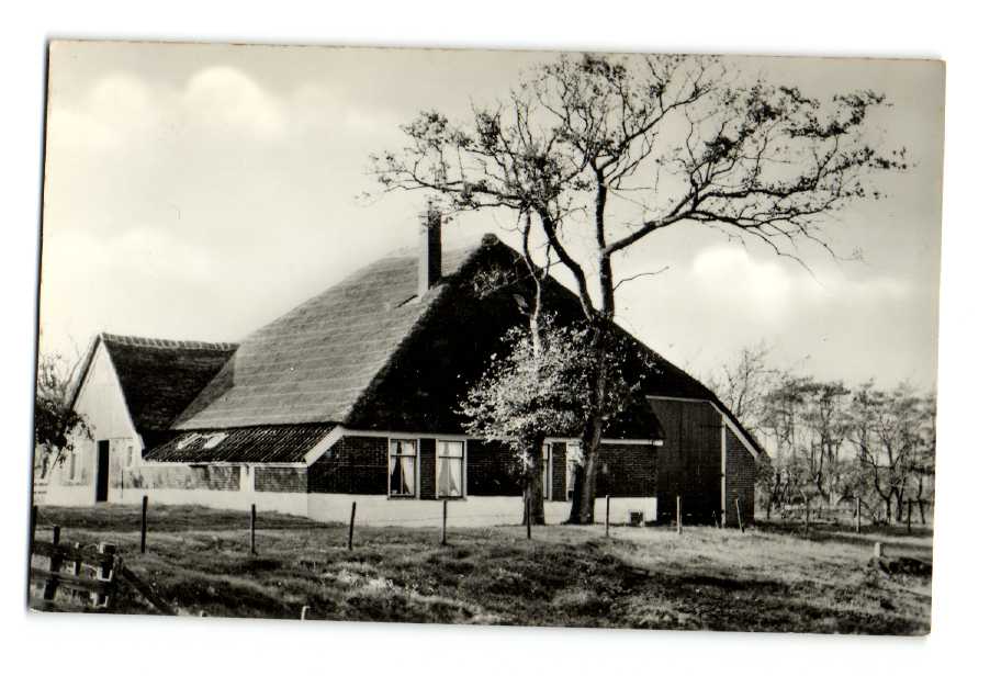 kaart