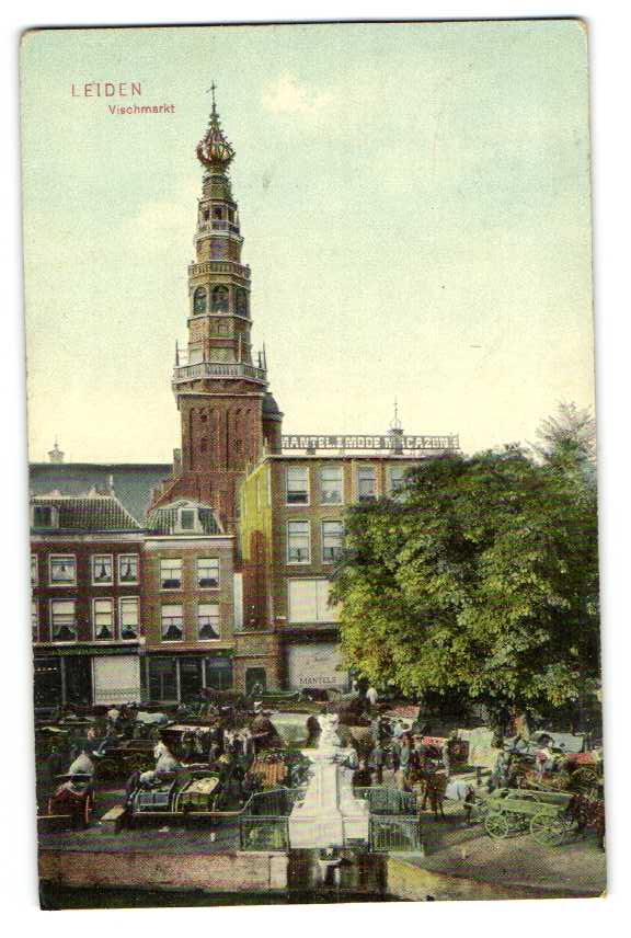 kaart