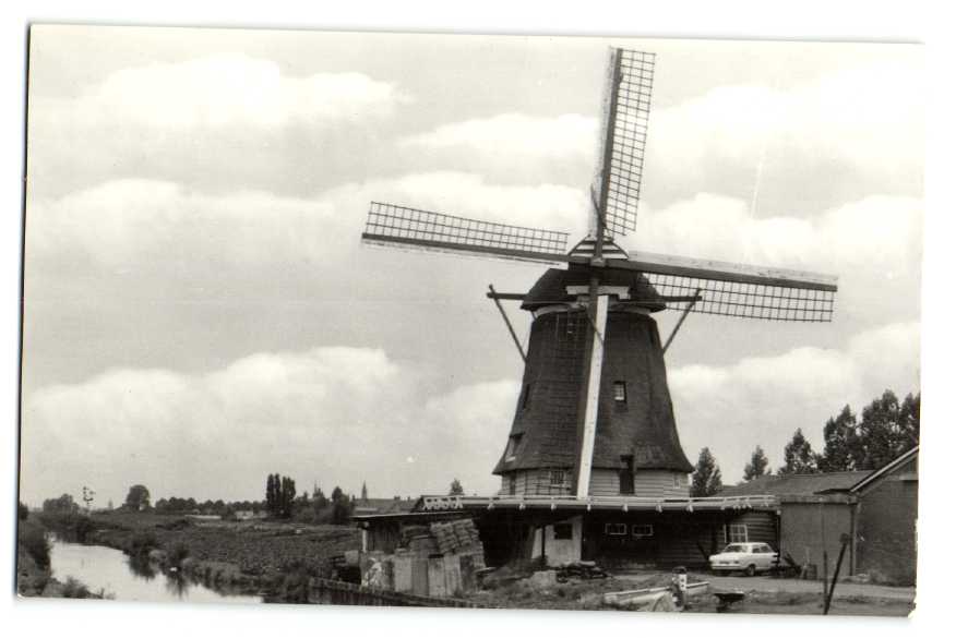 kaart