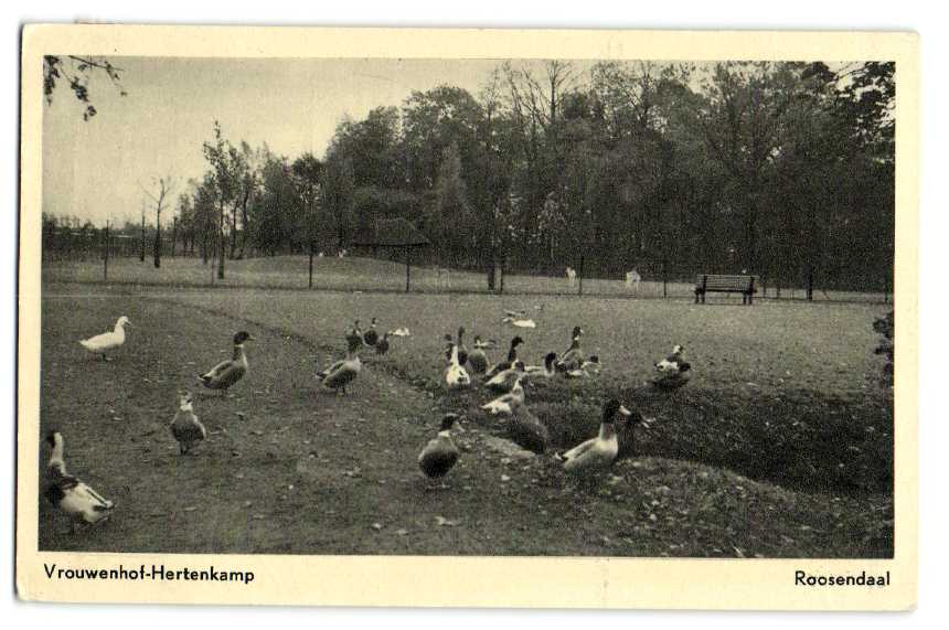 kaart