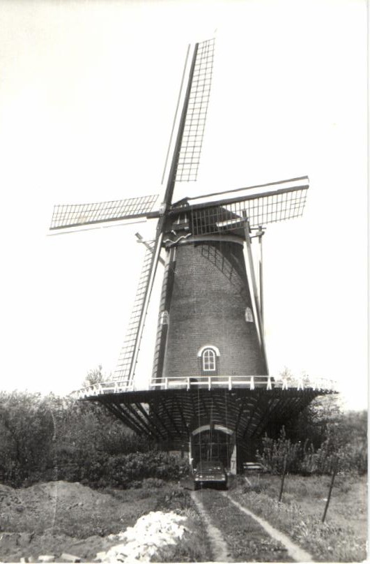 kaart