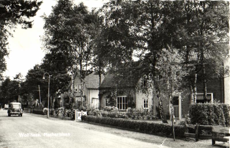 kaart