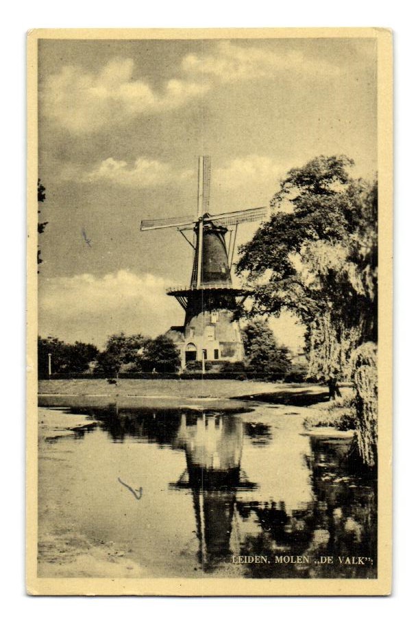 kaart