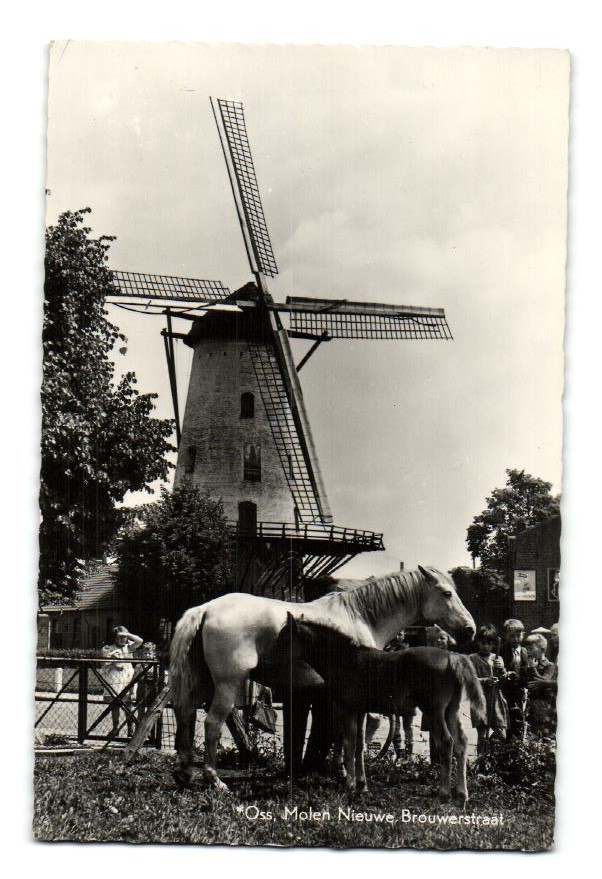 kaart