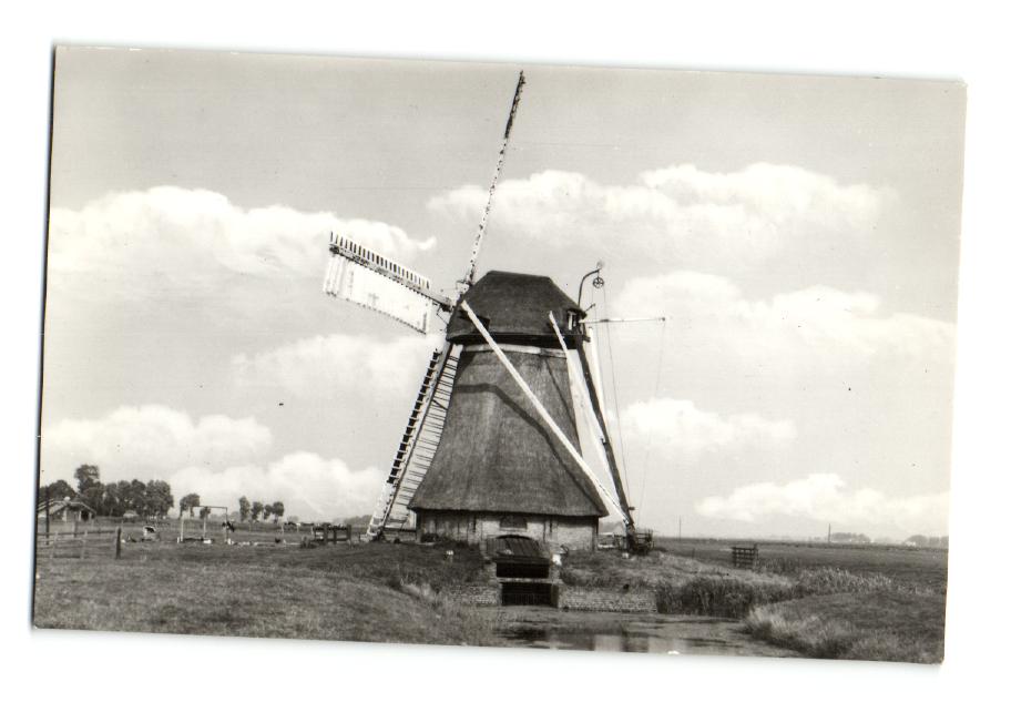 kaart