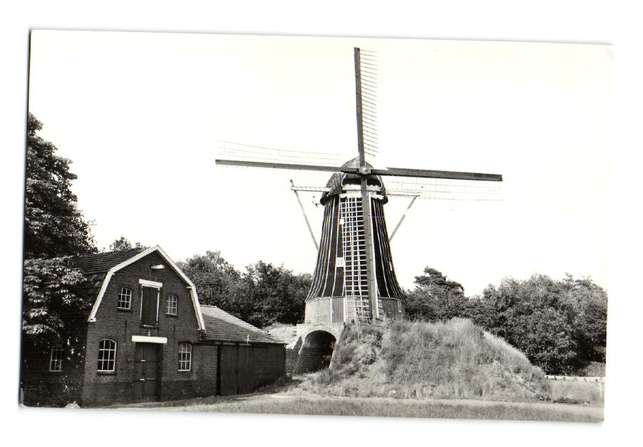 kaart