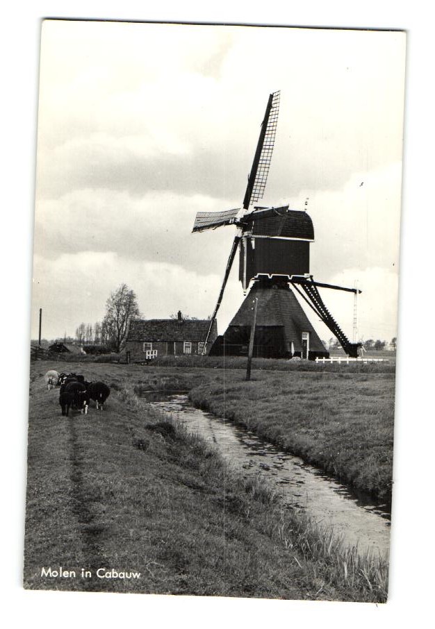 kaart