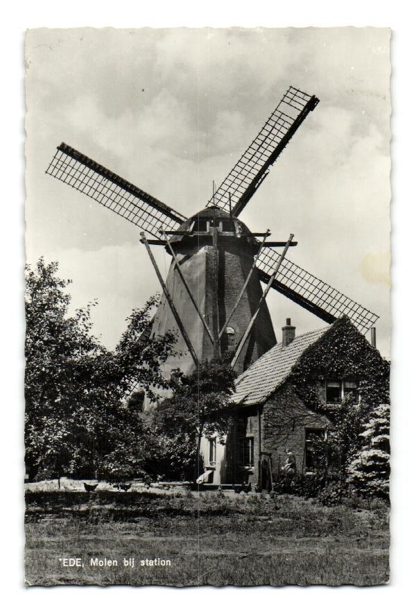 kaart