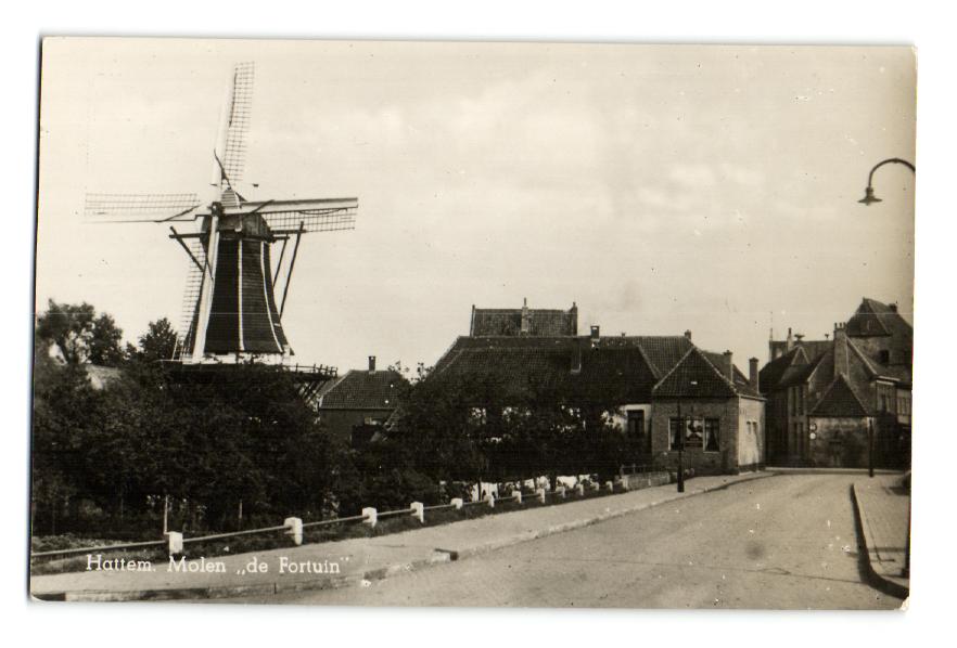 kaart