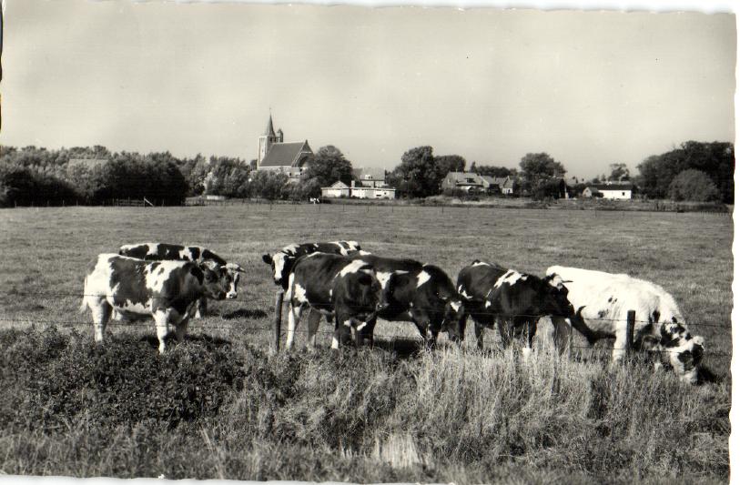 kaart