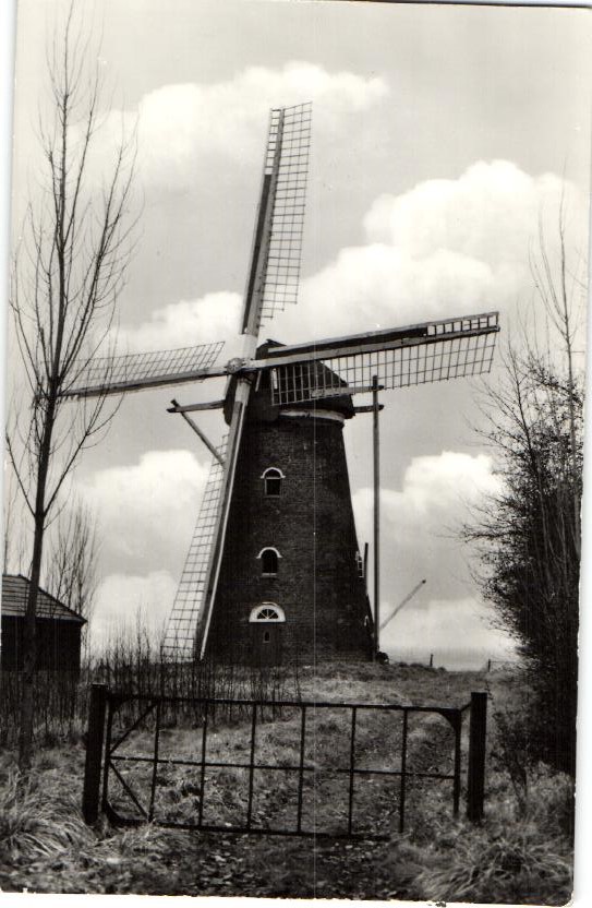 kaart