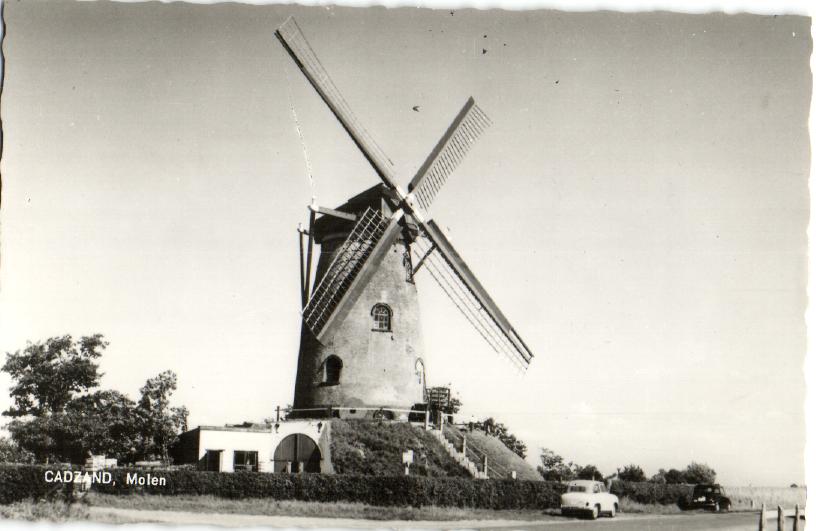 kaart