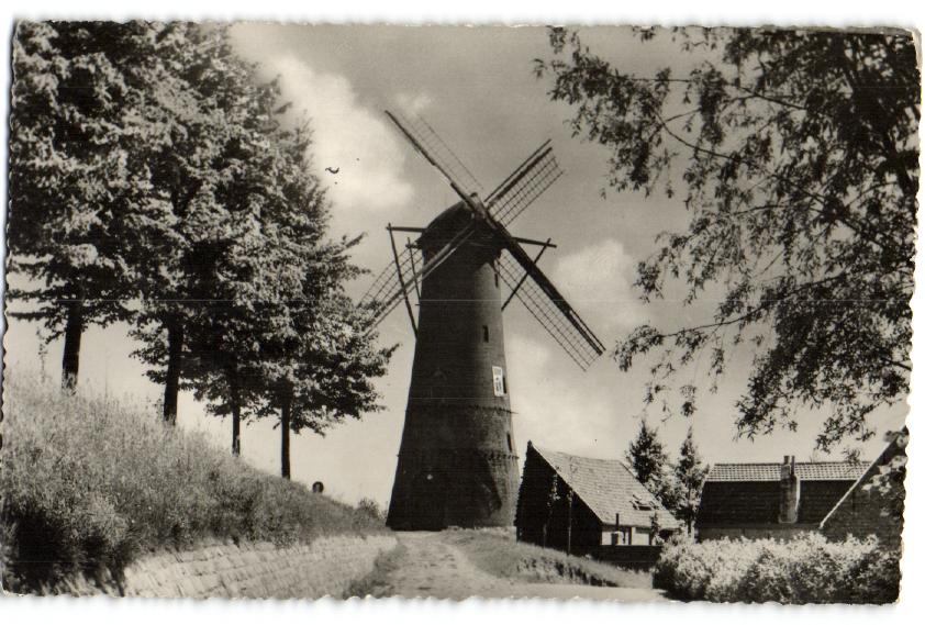 kaart