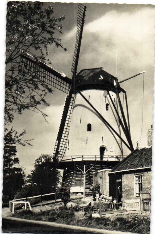 kaart