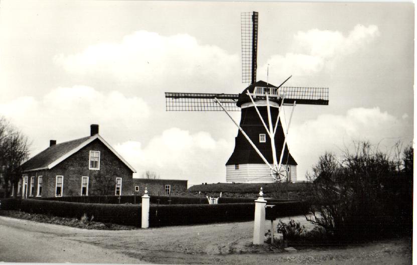 kaart