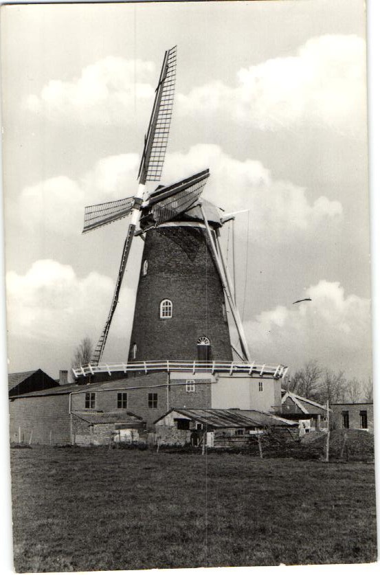 kaart
