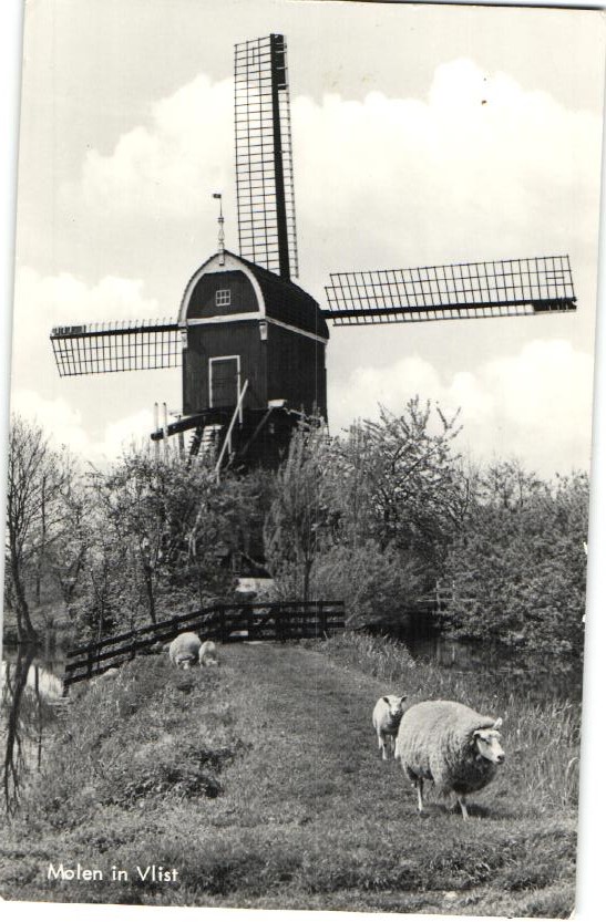 kaart
