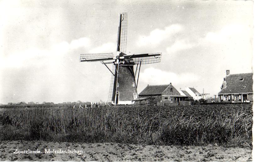 kaart