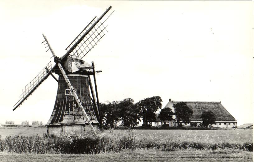 kaart