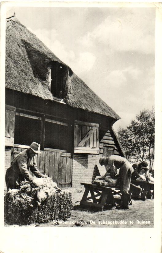 kaart
