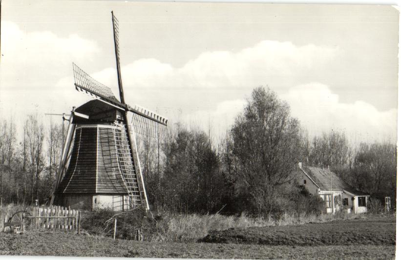 kaart