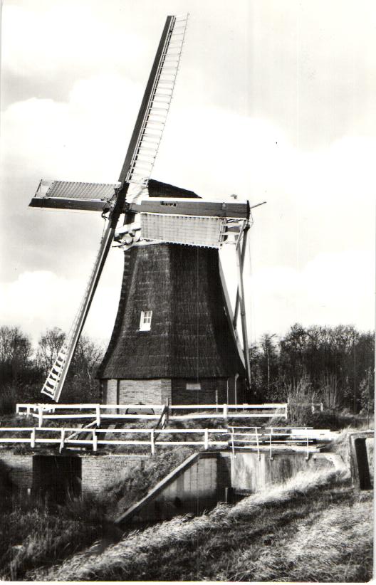 kaart