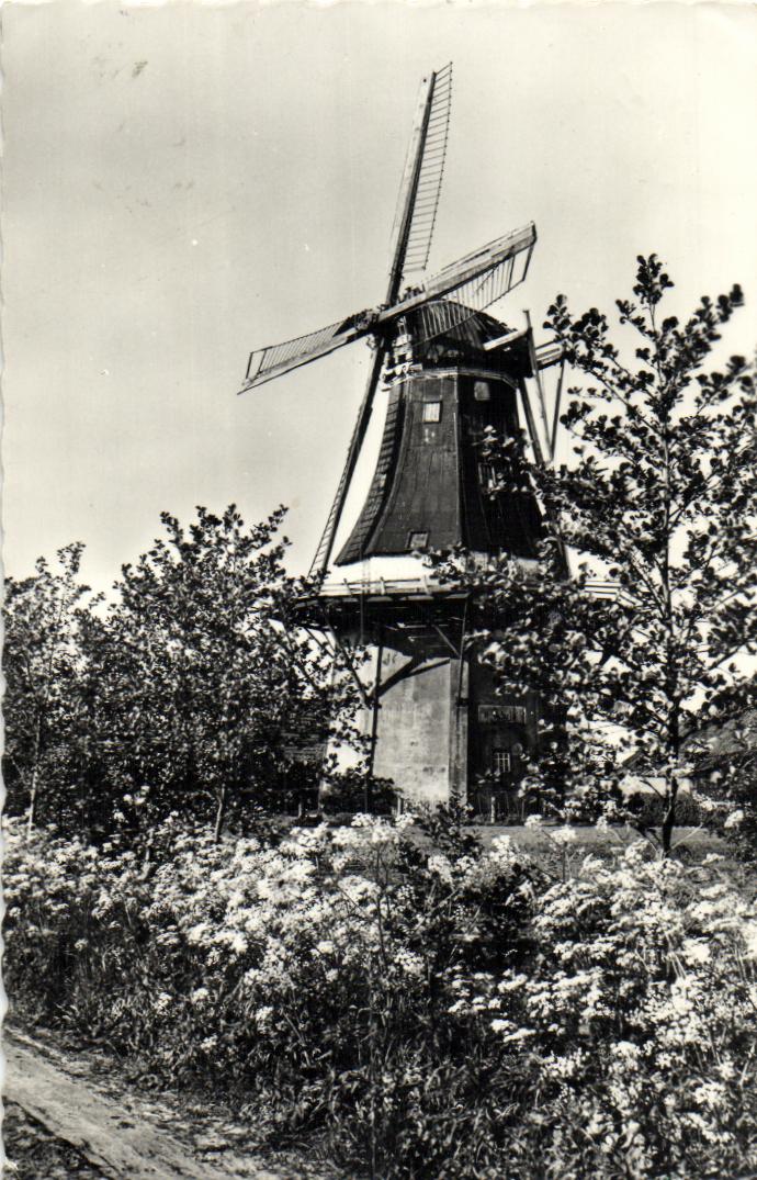 kaart