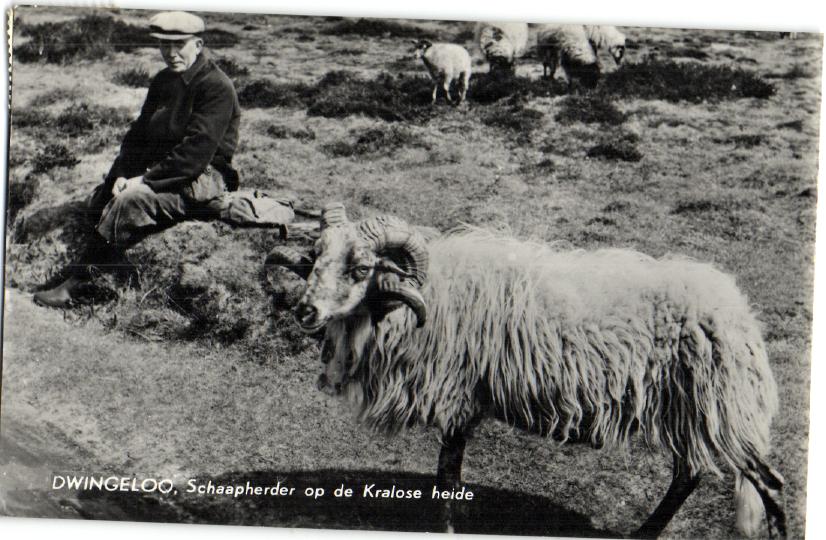 kaart