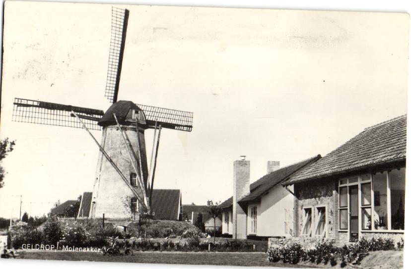 kaart
