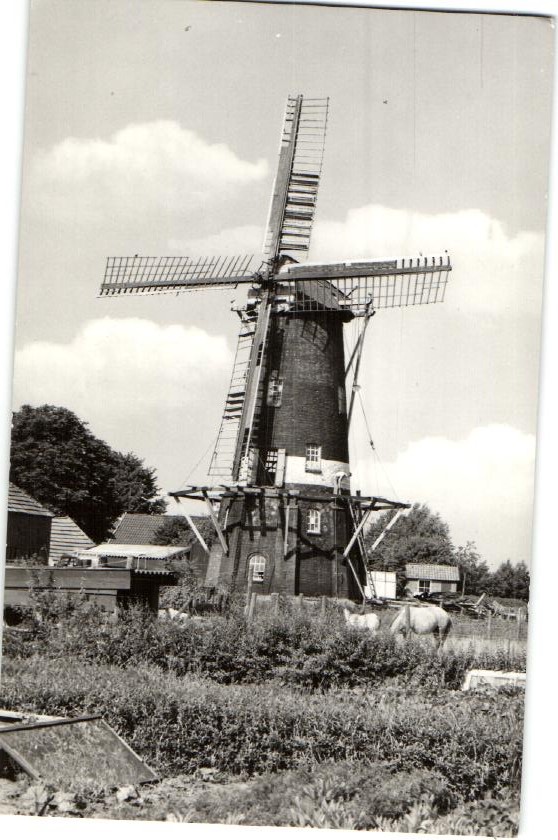 kaart