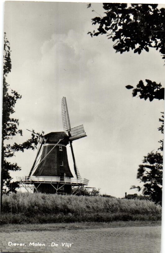 kaart