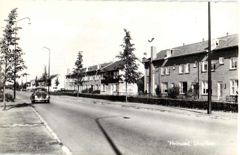 kaart