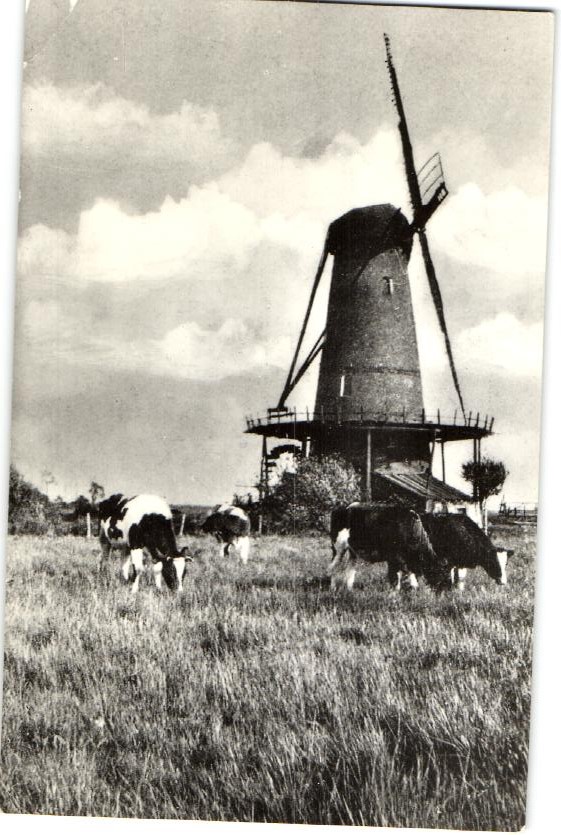 kaart