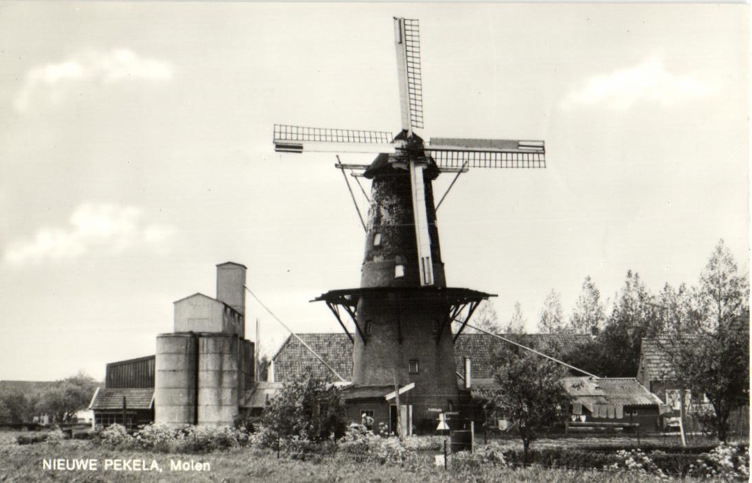 kaart