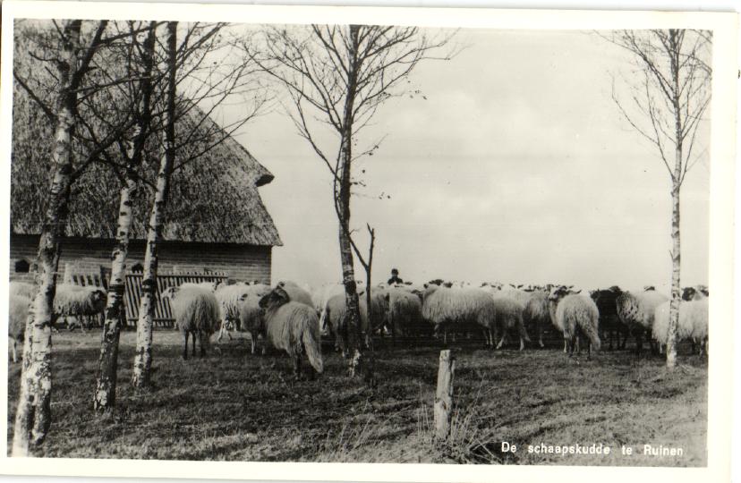 kaart