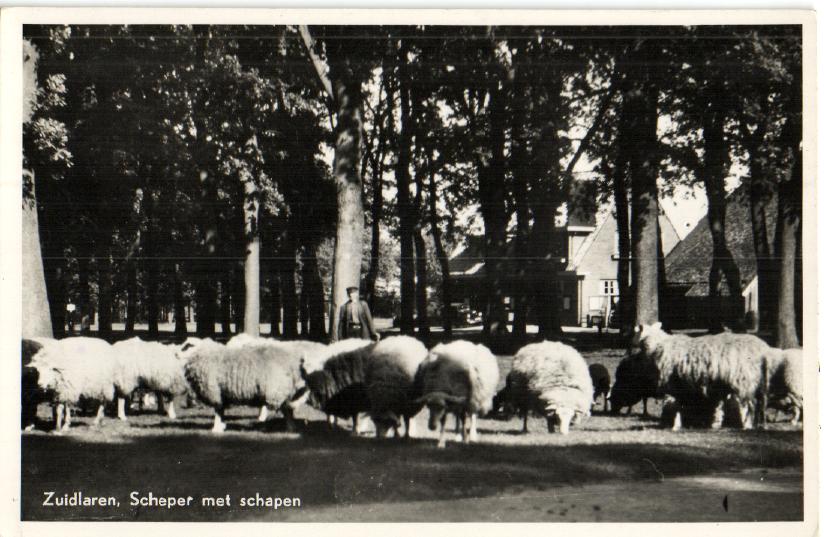 kaart