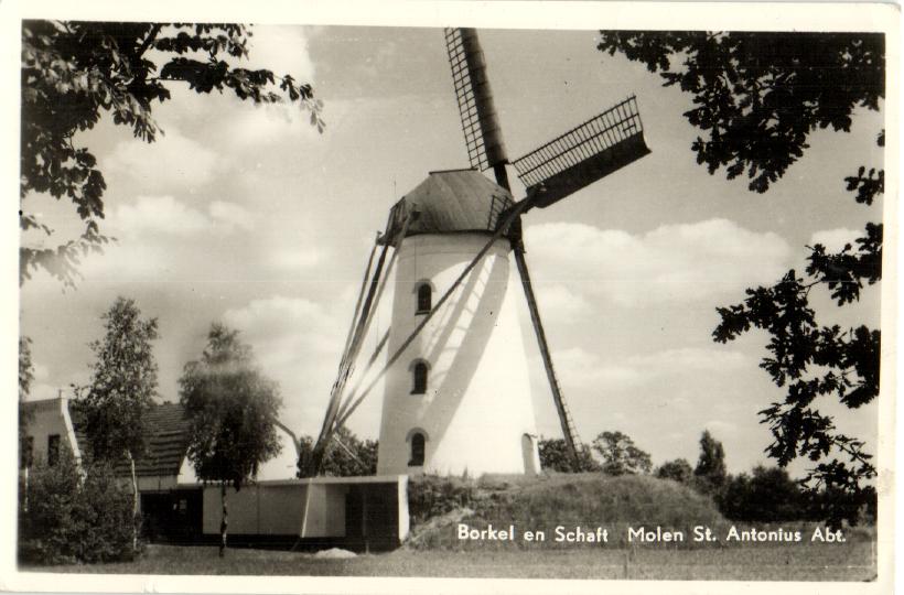 kaart