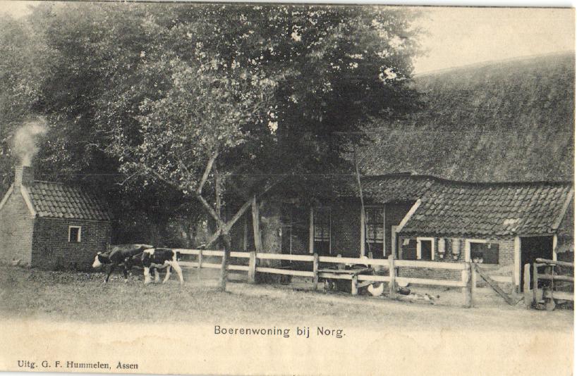 kaart
