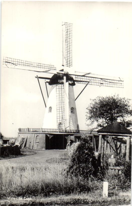 kaart