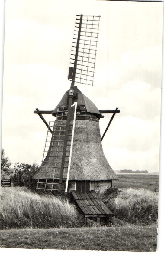 kaart