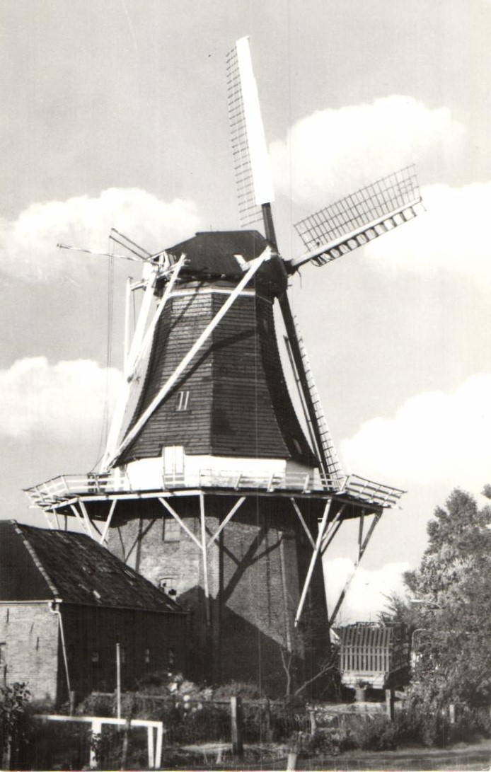 kaart
