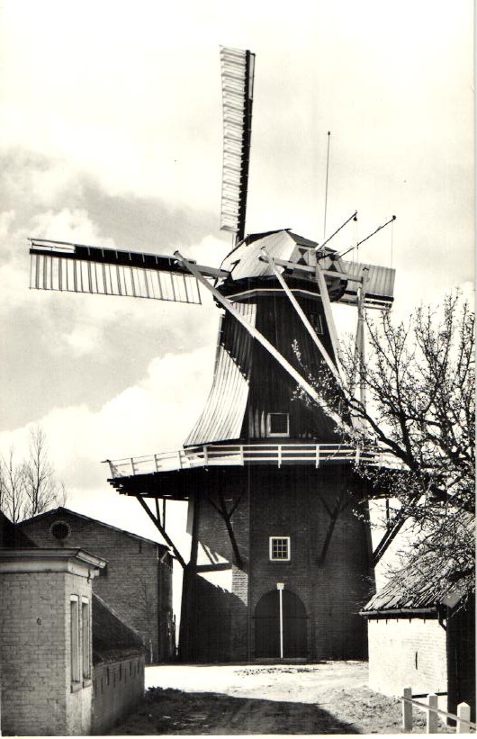 kaart