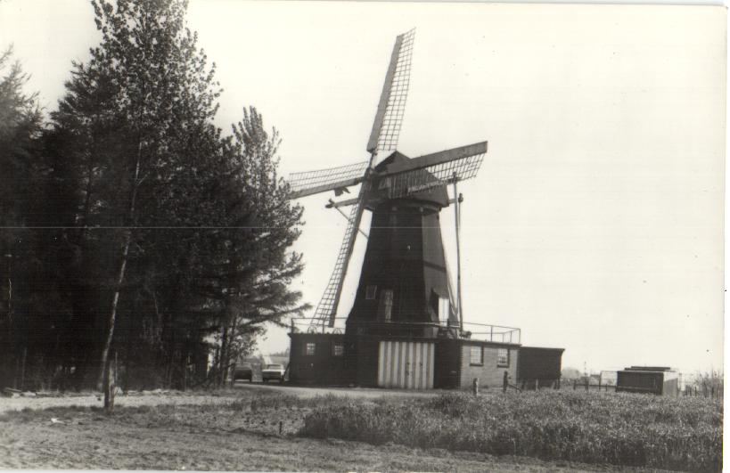 kaart