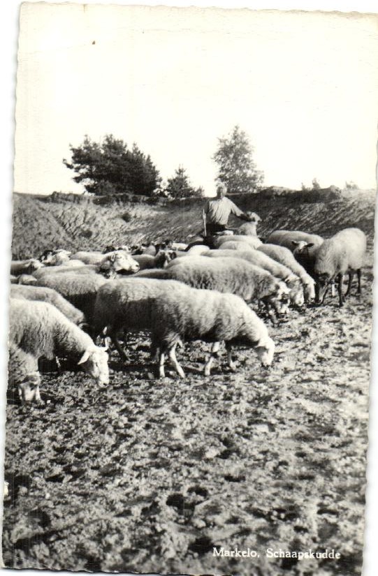 kaart
